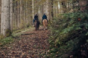 Zwei Pferde mit Reiterinnen von hinten im Schwarzwald