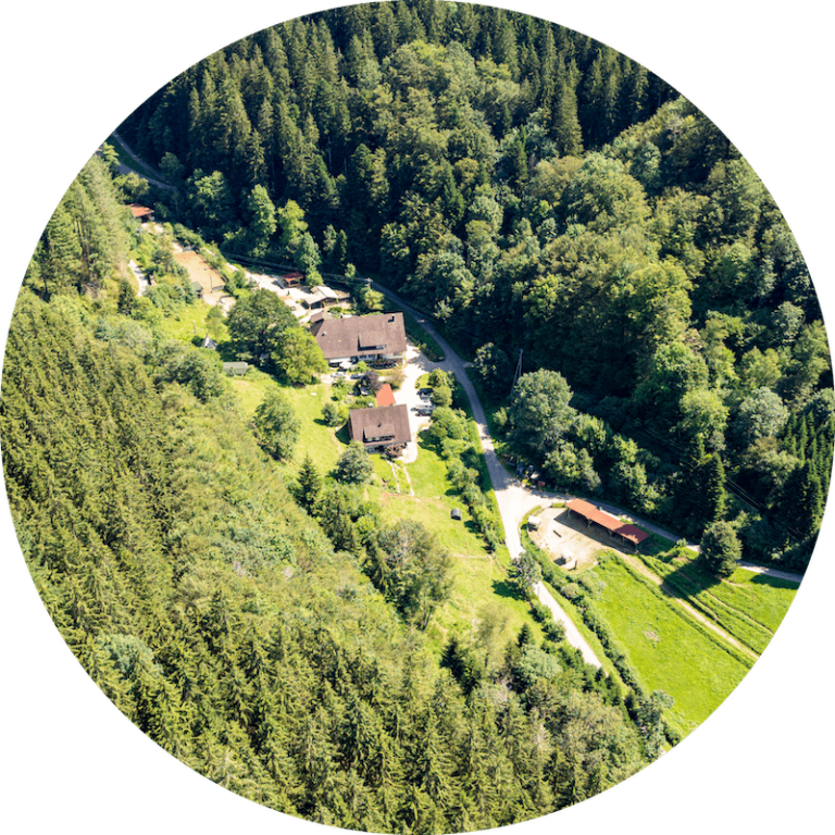 Der Reiterhof Horberlehof aus Vogelperspektive